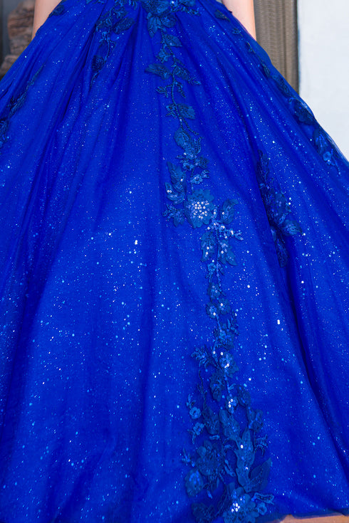 Girls Bliss Sweetheart Sequin Glitter Lace Train Ball Gown 2-16
